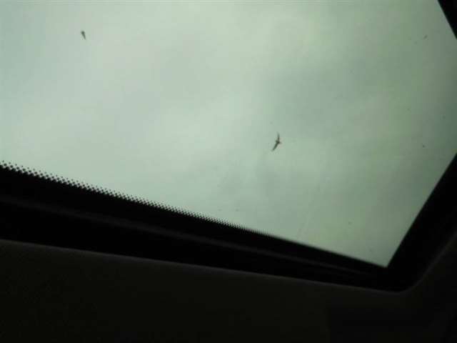 Infiniti G37 Sedan 2010 photo 21